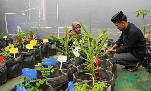 Peresmian Green House Kehati - Panji 1.jpg