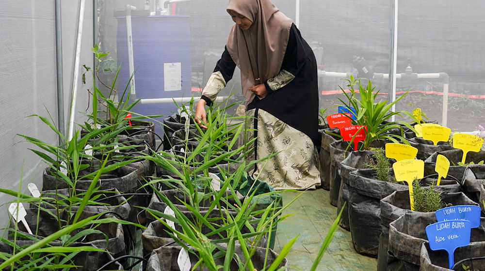 Peresmian Green House Kehati - Panji 6.jpg