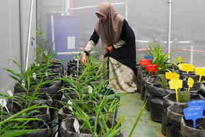 Peresmian Green House Kehati - Panji 6.jpg