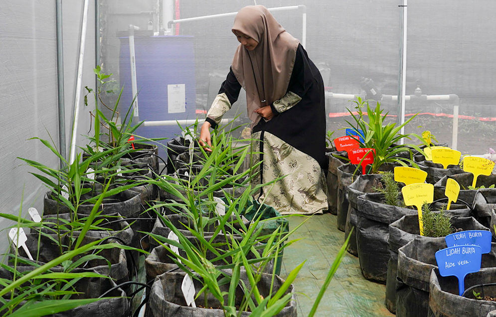 5 Rekomendasi Green Jobs di Sektor Pangan: dari Urban Farming hingga Kuliner Zero Waste
