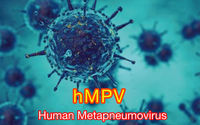 Human metapneumovirus (hMPV), yang menyebabkan gejala yang mirip dengan flu biasa dan Covid-19, telah mengalami peningkatan infeksi, terutama di kalangan anak-anak.