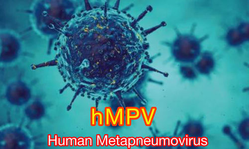 Human metapneumovirus (hMPV), yang menyebabkan gejala yang mirip dengan flu biasa dan Covid-19, telah mengalami peningkatan infeksi, terutama di kalangan anak-anak.