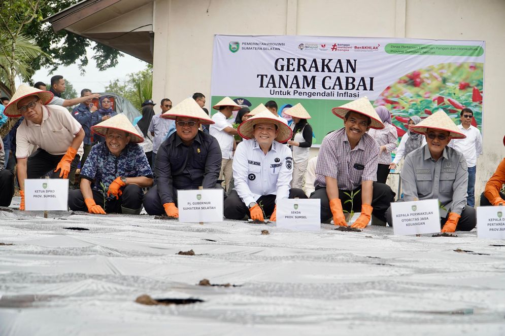 Gerakan Tanam Cabai dan Bawang Merah Sumsel Serentak  Diluncurkan