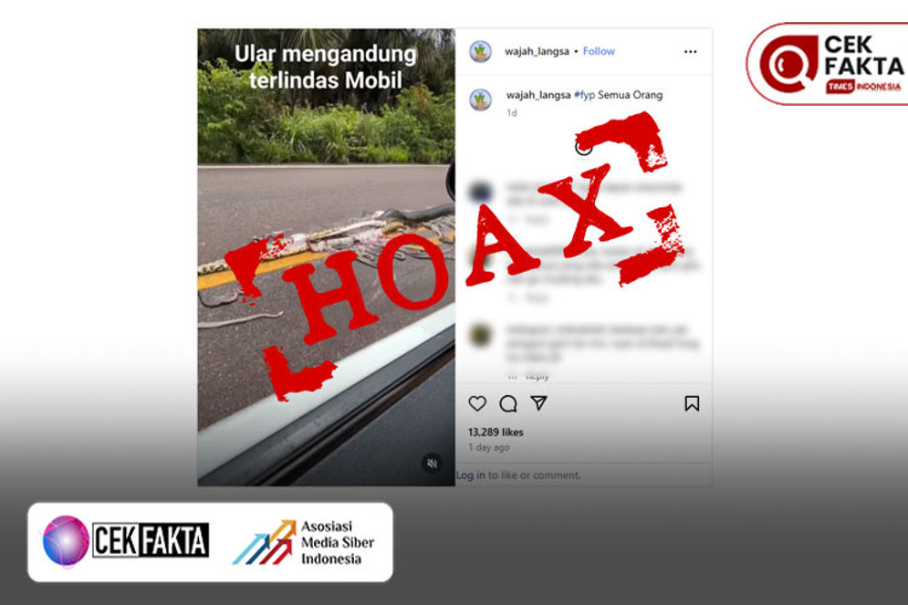 Hoaks: Video Bayi Ular Berserakan Terlindas di Sumatera Utara