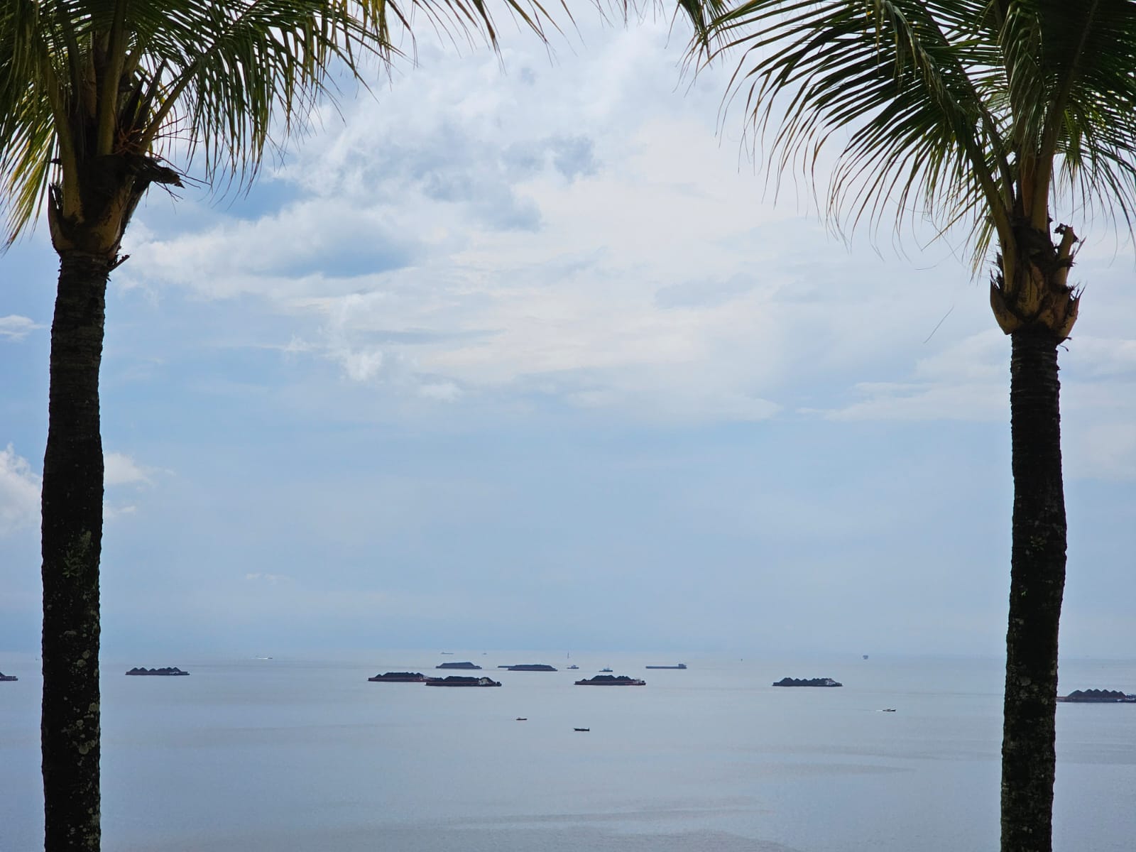 Kabar Coastal Road Balikpapan Terbaru  (Pesisir Balikpapan)