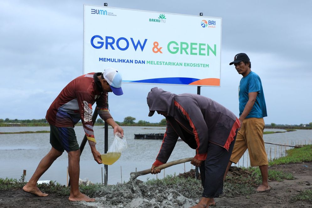 Program BRI Menanam - Grow & Green Jadi Upaya Nyata BRI Selamatkan Alam dan Dorong Ekonomi Lokal