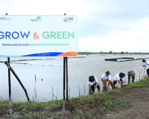 BRI Menanam Grow & Green: Wujud Kepedulian BRI pada Ekosistem dan Perekonomian Warga