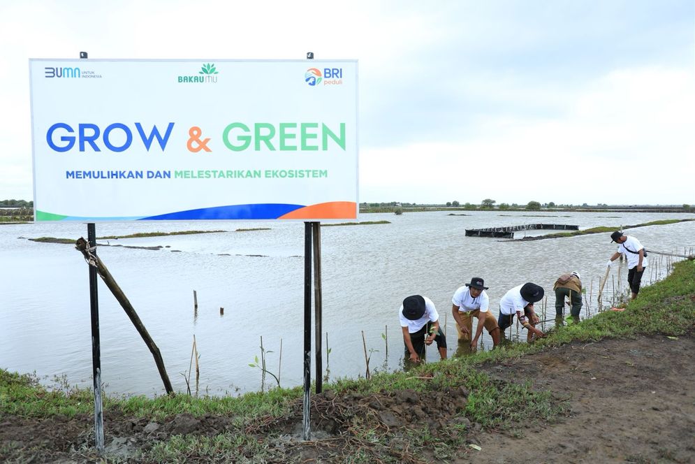 BRI Menanam Grow & Green: Wujud Kepedulian BRI pada Ekosistem dan Perekonomian Warga