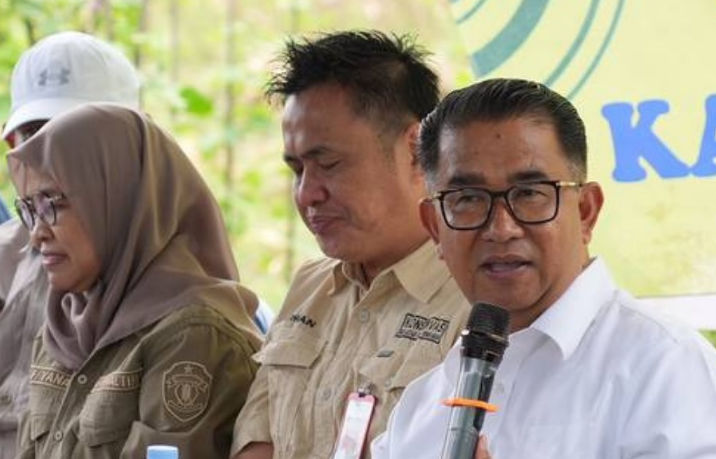 Kelola Lahan Eks Tambang, Pemprov Kaltim Bakal Bentuk Tim Penyuluh Pertanian 