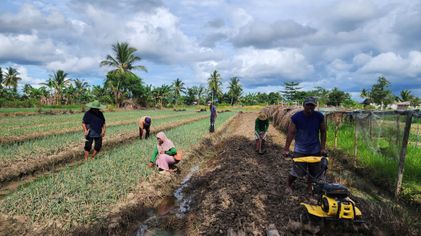 BRI Perkuat Produktivitas Petani Merauke dengan Program Klaster Usaha