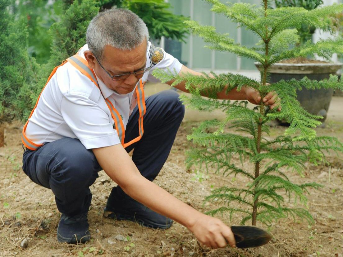 Manager Cabang PT Railink Medan menanam pohon di area Stasiun Medan