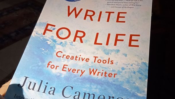 INFO BUKU: Write fo Life