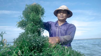 Dorong UMKM Naik Kelas, Ini 5 Komitmen Nyata yang Dilakukan BRI