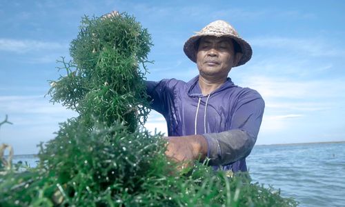 Dorong UMKM Naik Kelas, Ini 5 Komitmen Nyata yang Dilakukan BRI