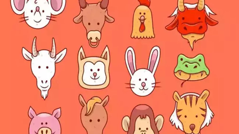 Ramalan Karier Menurut Shio di Tahun 2025.