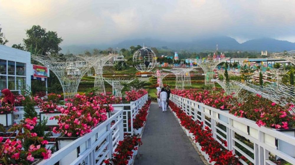 Wisata Kabupaten Semarang, Taman Bunga Celosia.