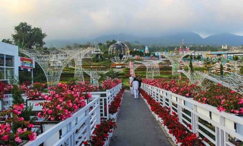 Wisata Kabupaten Semarang, Taman Bunga Celosia.