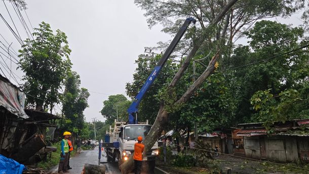 PLN UID Lampung Berhasil Pulihkan 100 Persen Kelistrikan Pasca Cuaca Ekstrem