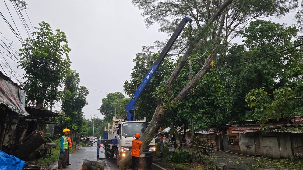 PLN UID Lampung Berhasil Pulihkan 100% Kelistrikan Pasca Cuaca Ekstrem