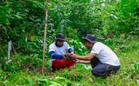 BRI Menanam - Grow & Green di Tanjung Prepat, Langkah Nyata Selamatkan Lingkungan dan Ekonomi Lokal