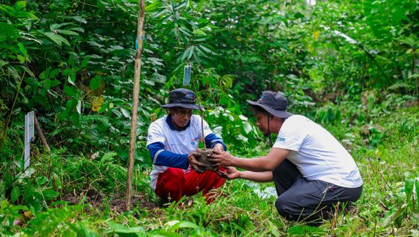 Program BRI Menanam - Grow & Green: Hijaukan Tanjung Prepat Berau dan Dukung Ekonomi Lokal