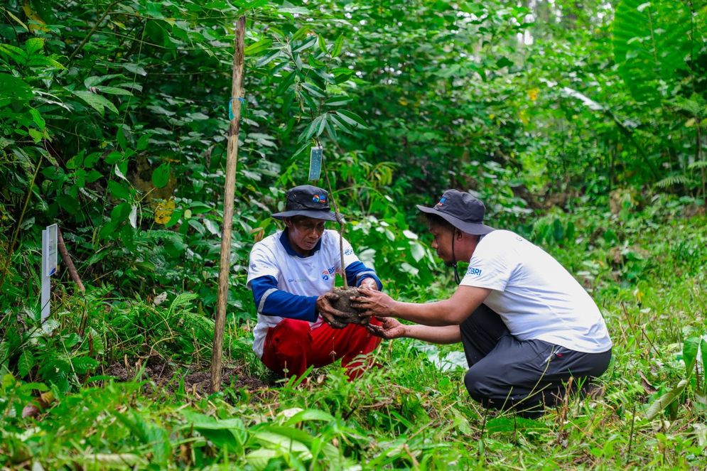 BRI Menanam - Grow & Green di Tanjung Prepat, Langkah Nyata Selamatkan Lingkungan dan Ekonomi Lokal