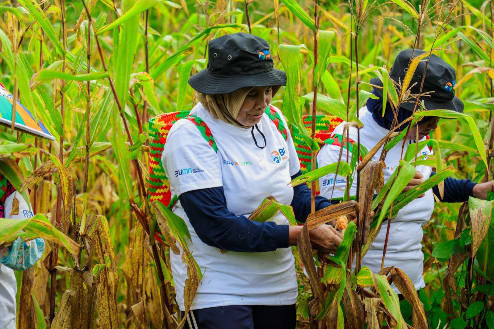 BRI Menanam - Grow & Green di Tanjung Prepat, Sejahterakan Warga Sambil Hijaukan Lingkungan