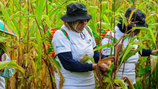 BRI Menanam - Grow & Green di Berau, Serap Karbon dan Sejahterakan Masyarakat