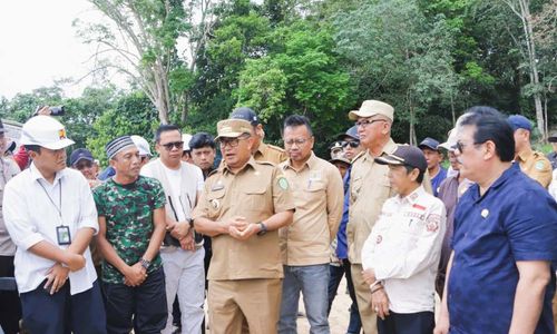 marangkayu.jpg