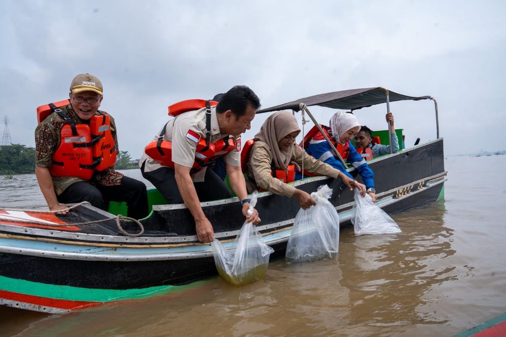 Benih ikan 