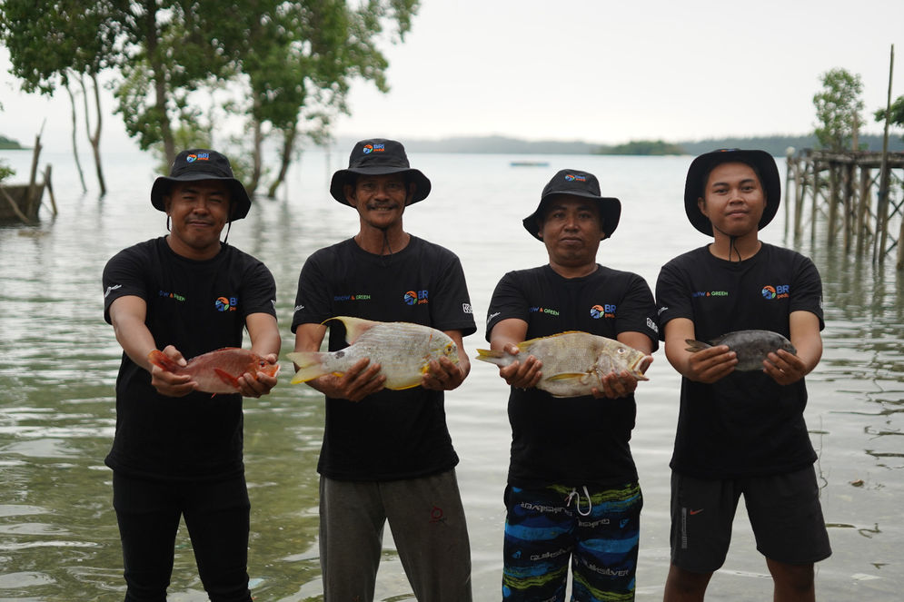 Dukung Nelayan Terus Sejahtera, BRI Menanam - Grow & Green: Lakukan Transplantasi Terumbu Karang