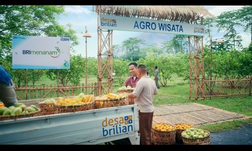 BRI Berikan Dukungan Nyata melalui Program Desa BRILian 2025