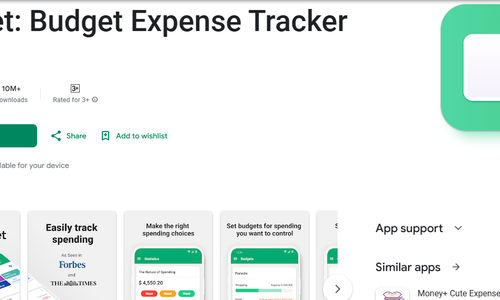 Wallet: Budget Expense Tracker.