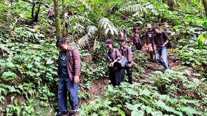 Sambut Hari Kehutanan Dunia, Mahasiswa UAJY Jelajahi Taman Nasional Gunung Merapi