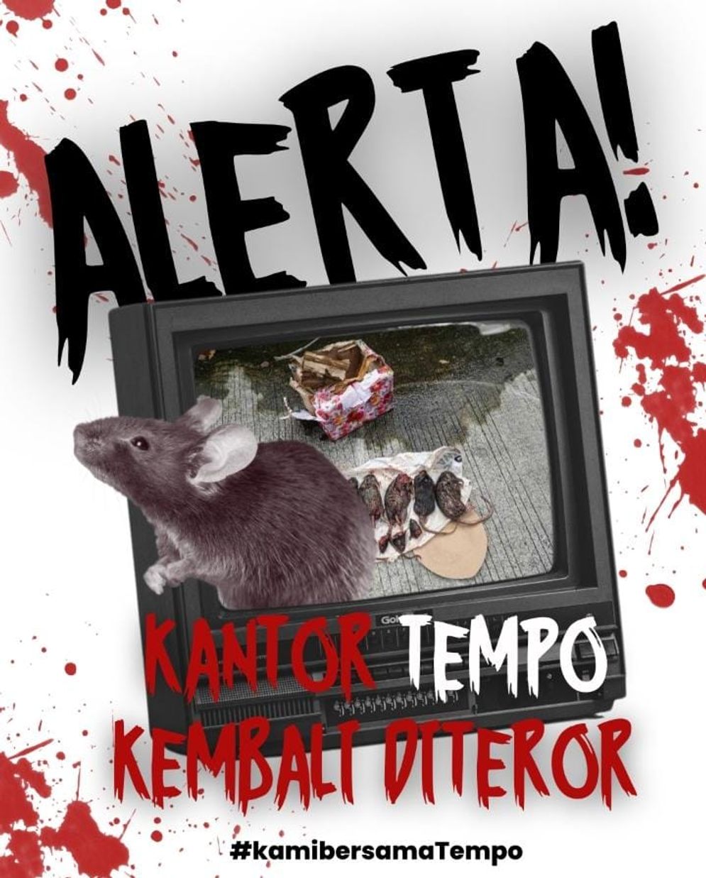 Tempo  Kembali Diteror! Dikirimi Tikus yang Dipenggal