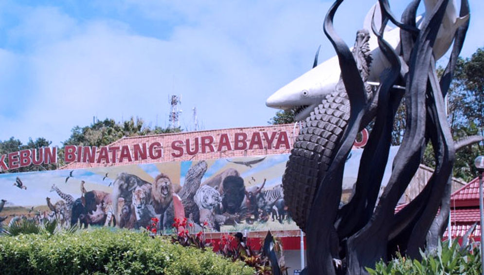 Kebun-Binatang-Surabaya.jpg