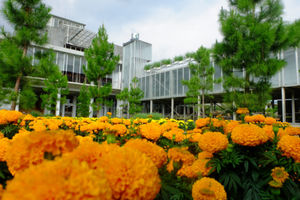 Rumah Atsiri Tawangmangu.