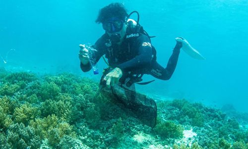 BRI Menanam ‘Grow & Green’ Transplantasi Terumbu Karang, Jadi Ujung Tombak Pelestarian Ekosistem Laut di NTB
