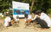 Peduli Ekosistem Laut, BRI Menanam ‘Grow & Green’ Ikut Tanam Terumbu Karang di NTB 