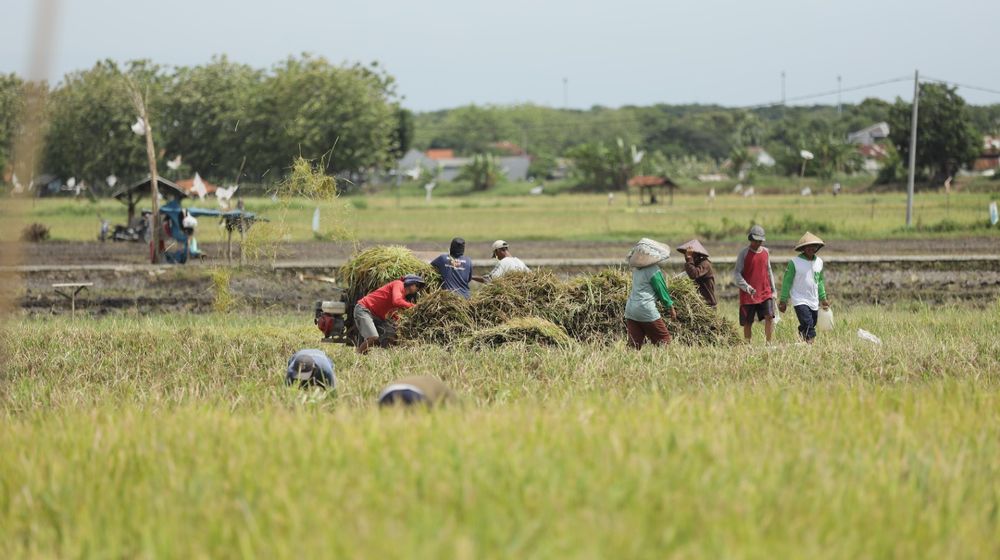 WhatsApp Image 2025-04-15 at 11.05.32.jpeg