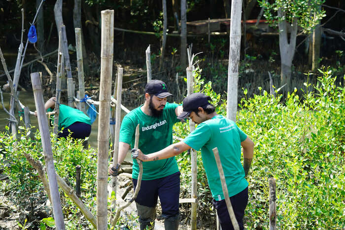 LindungiHutan Serukan Aksi Nyata Menjaga Kelestarian Lingkungan