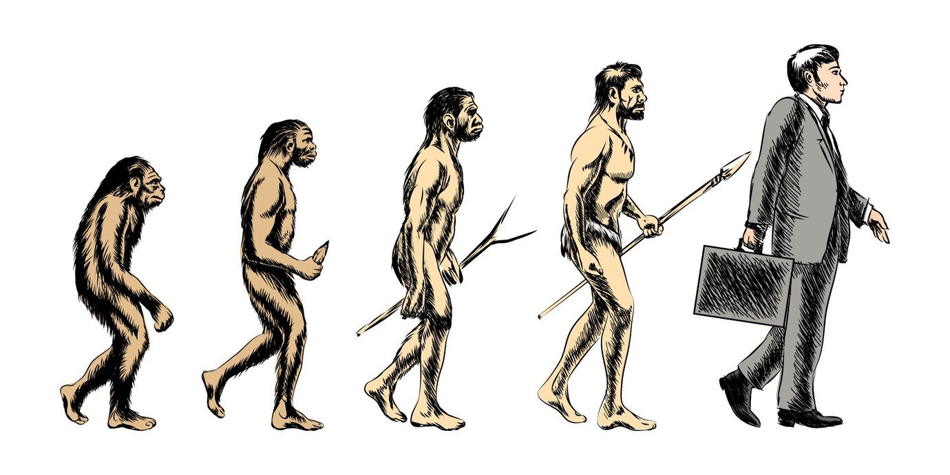 Ilustrasi evolusi manusia.