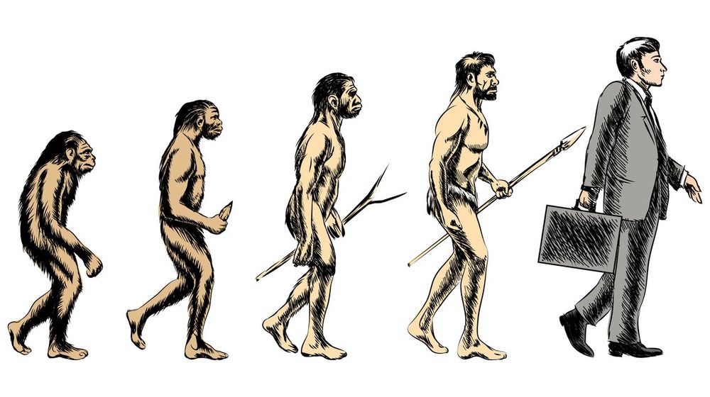 businessman-evolution-illustration_1284-45674.jpg