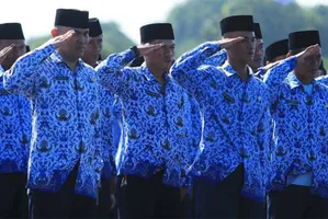 pns.jpg