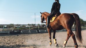 Kompetisi Horseback Archery Internasional Kembali Digelar di Bali, Sanur
