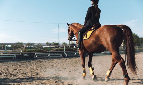 amazing-young-cowgirl-sitting-horse-outdoors_171337-18210.jpg