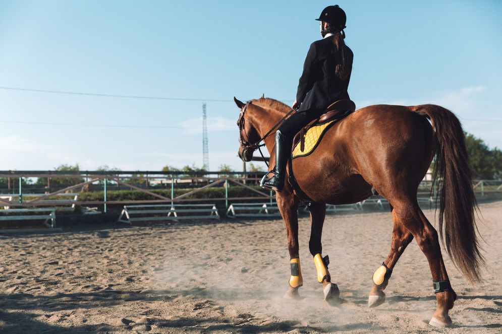 Kejuaraan Horseback Archery Piala Ketua Umum PORDASI Tampilkan Pertandingan Atlet dari 4 Negara 