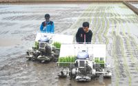 alat pertanian, petani menggarap sawah, alsintan.jpg