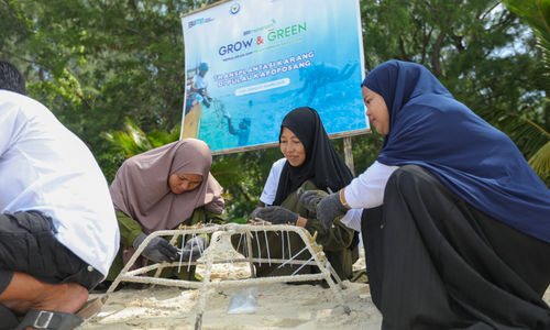 Aksi Hijau BRI Menanam - Grow and Green, Transplantasi Ribuan Karang Laut Pulau Kapoposang
