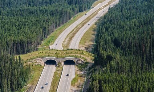 Jembatan Penyeberangan di Taman Nasional Banff, Kanada.
